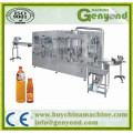 Complete Full Automatic Small Fruit Juice Factory